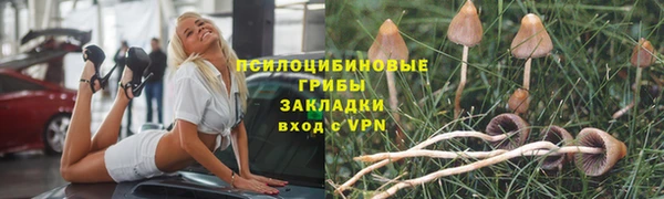 гашишное масло Богородицк
