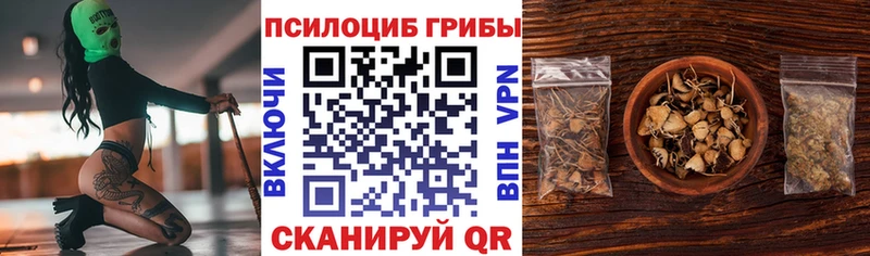 продажа наркотиков  Сланцы  Галлюциногенные грибы MAGIC MUSHROOMS 